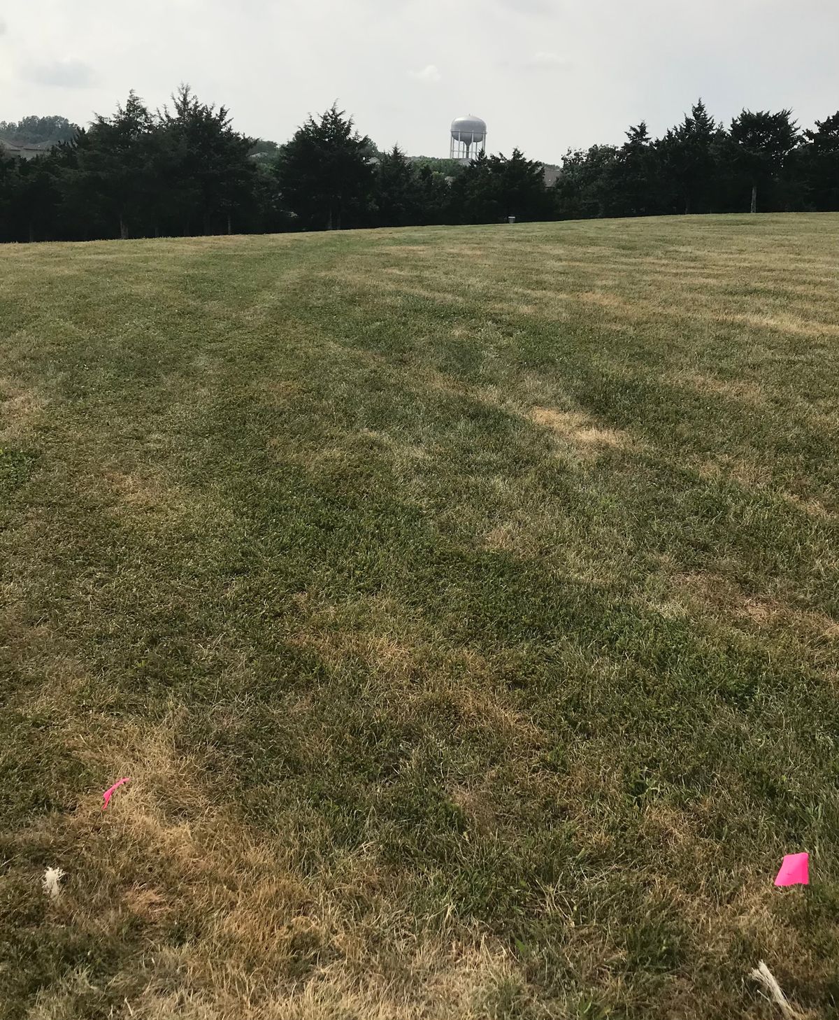 Hole 1-Easy start?