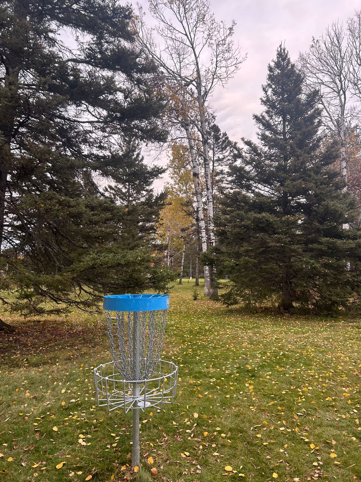 Hole 2 basket