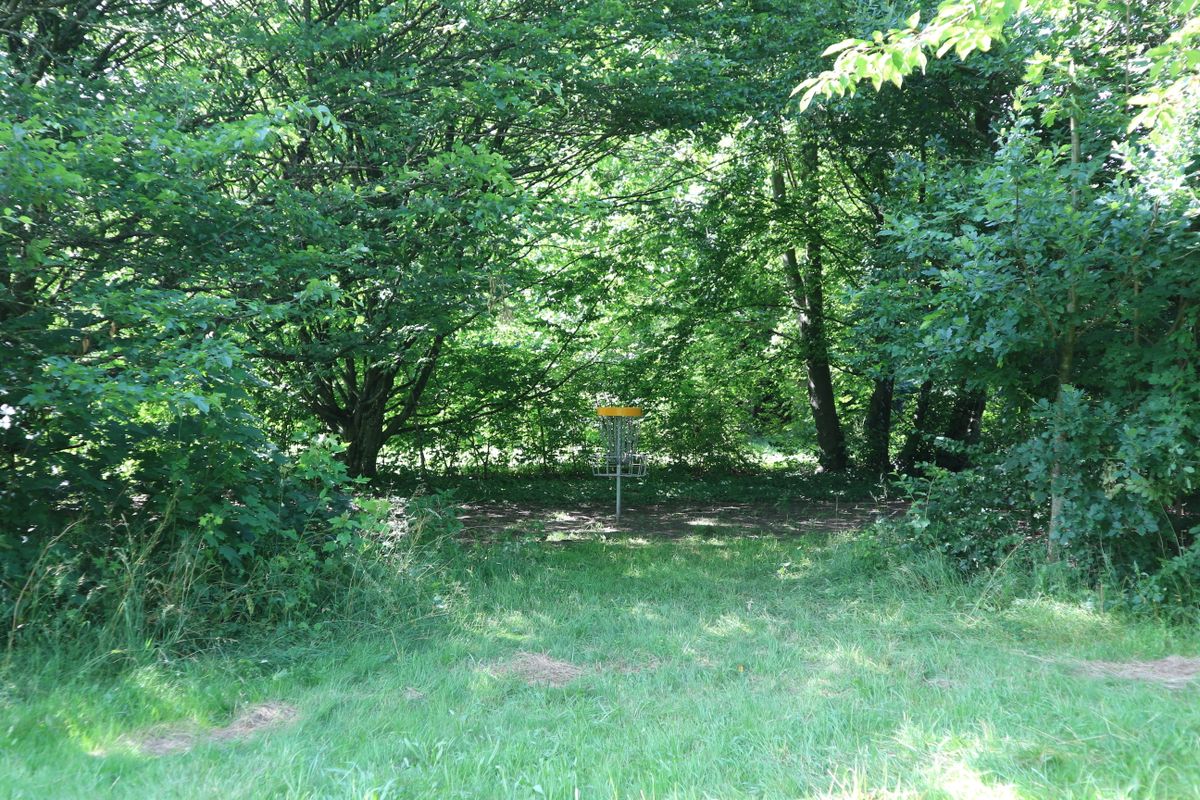 Basket from hole 2