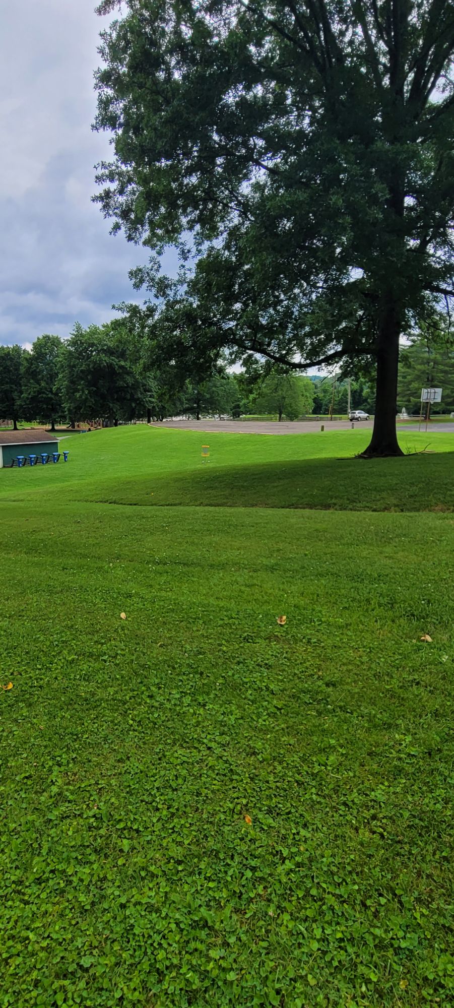 Hole 9 fairway and basket
