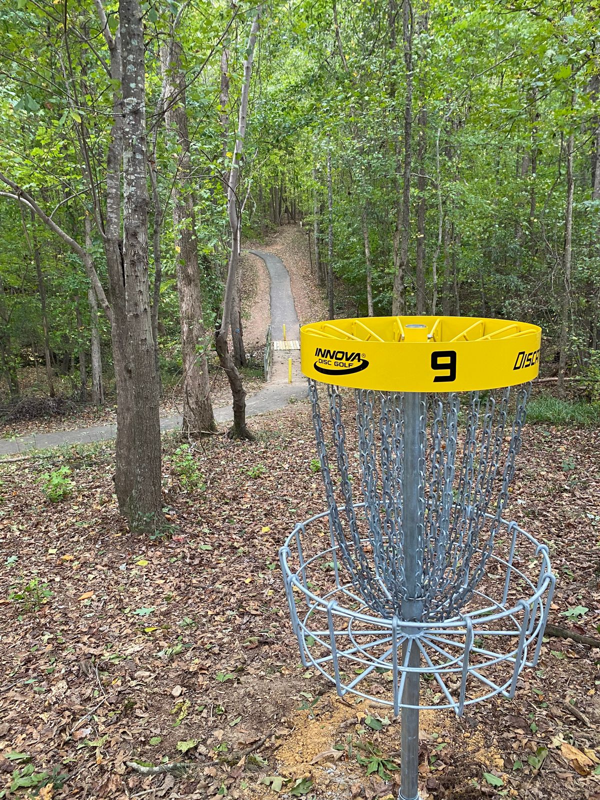 Hole 9 Basket