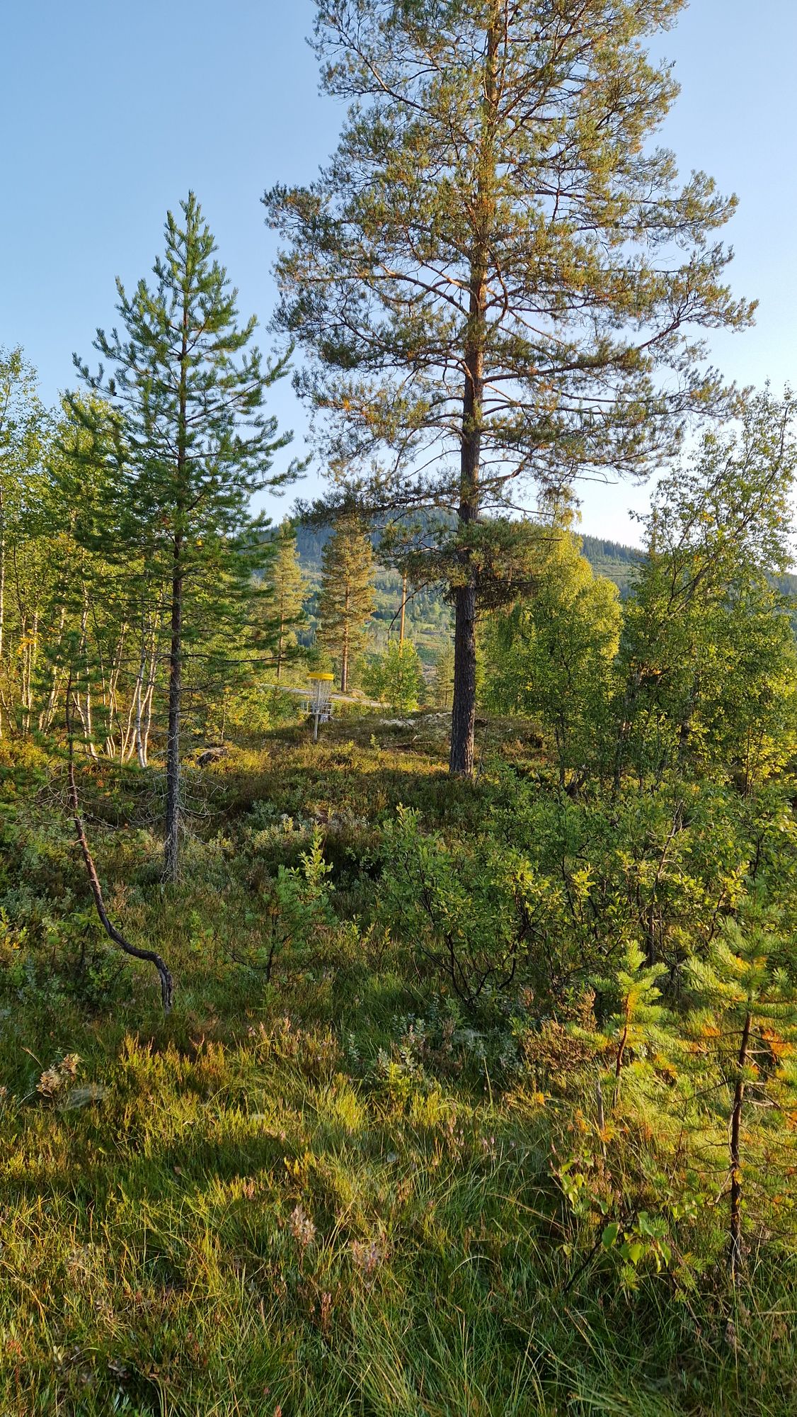 Mot kurv hull 10