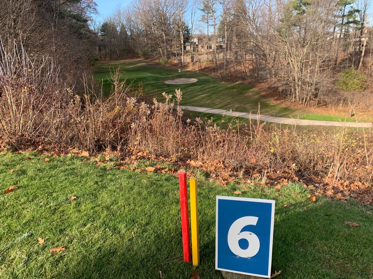 Hole 6 long and short tee