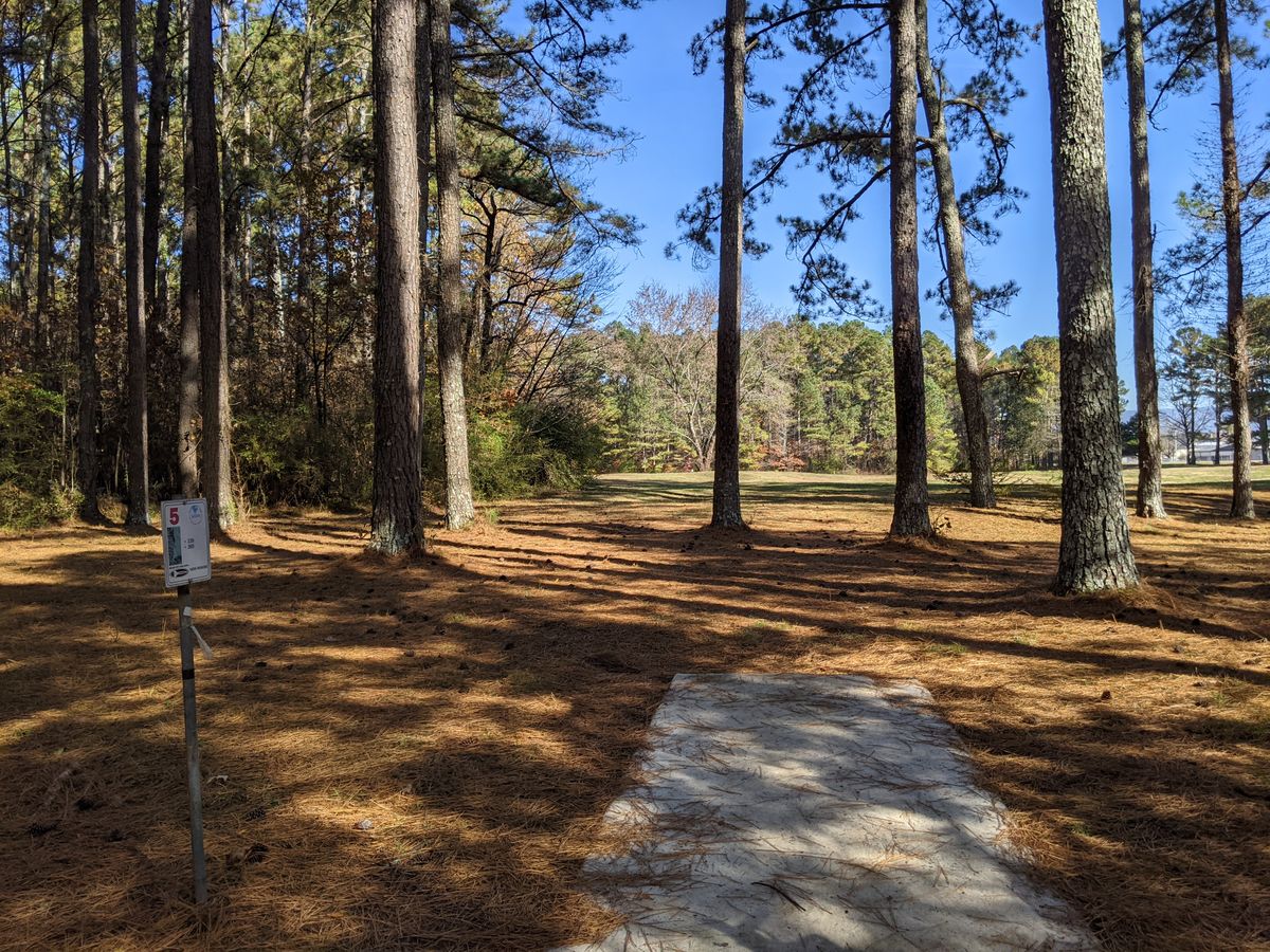 Hole 5 tee box