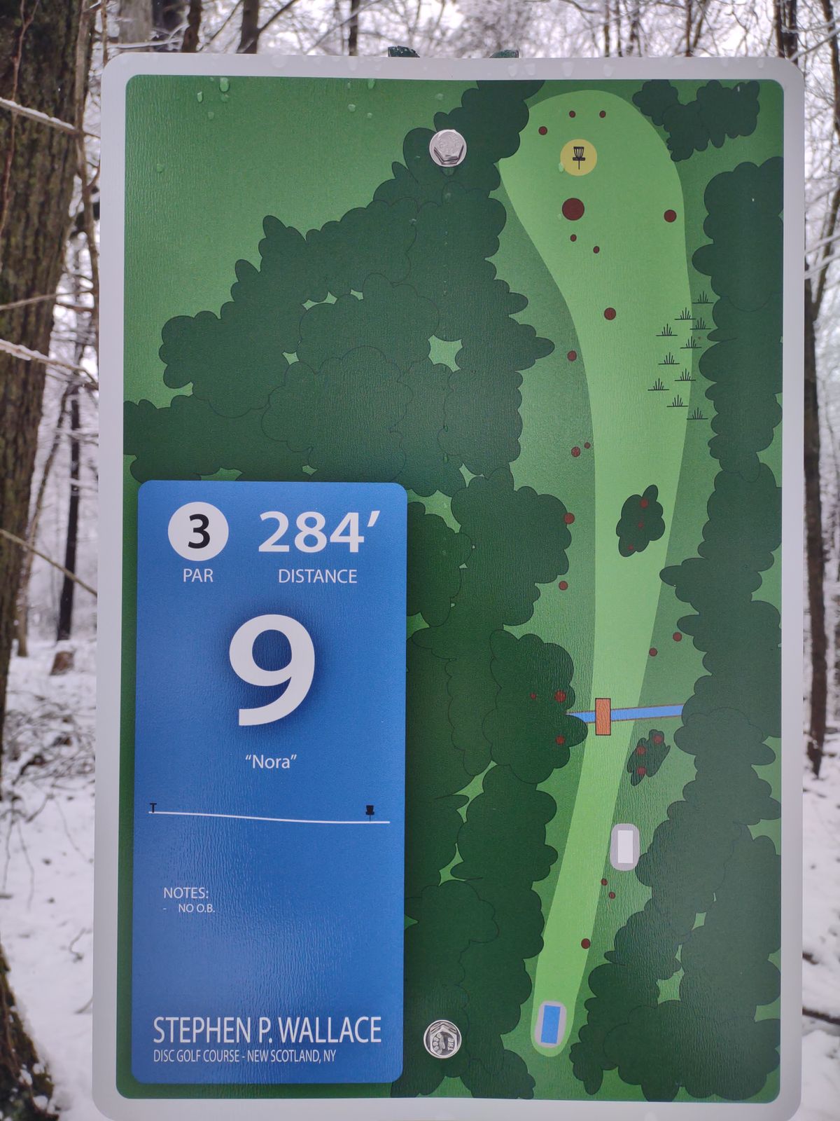Hole 9 Blue