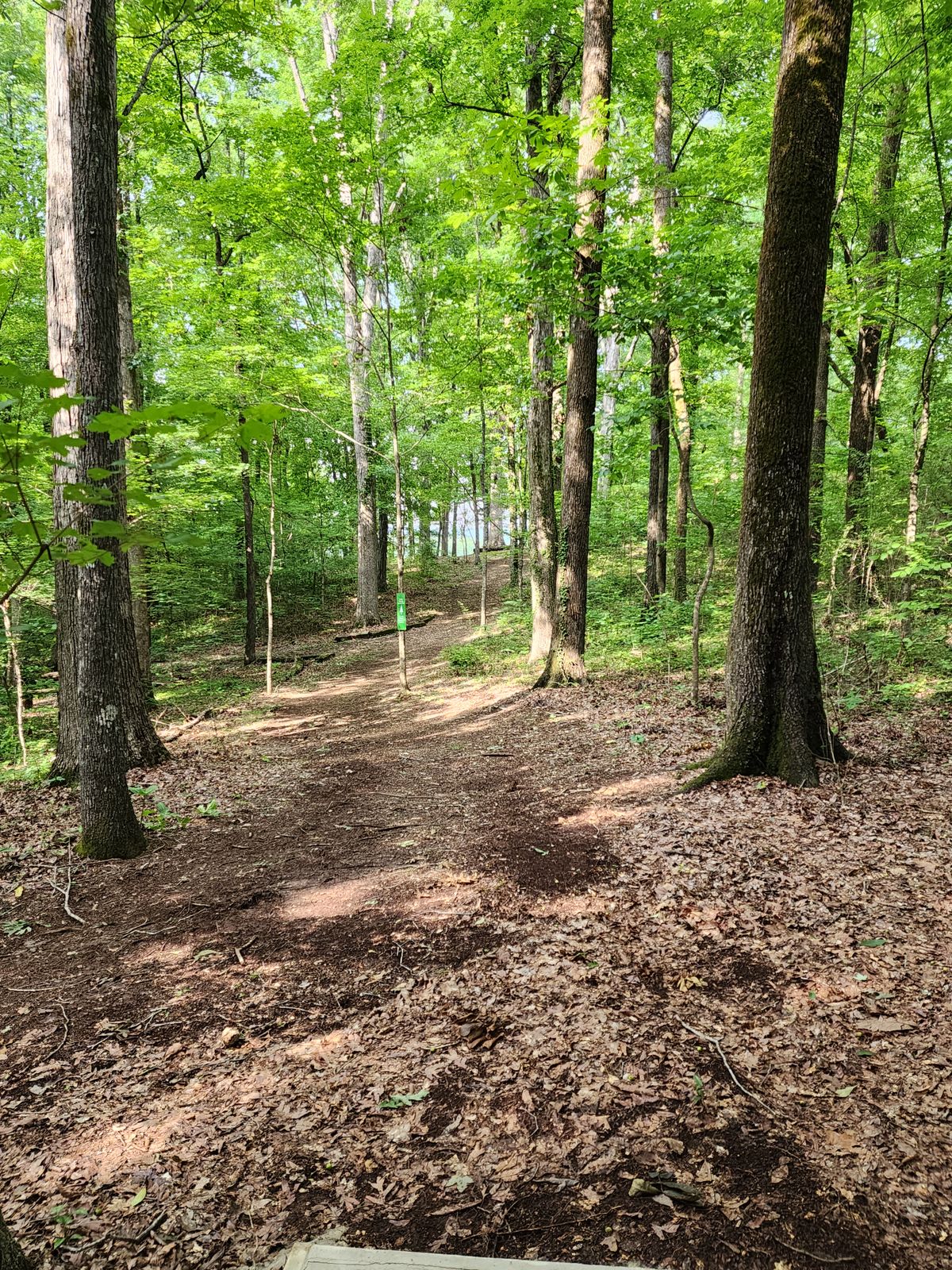 Hole 10