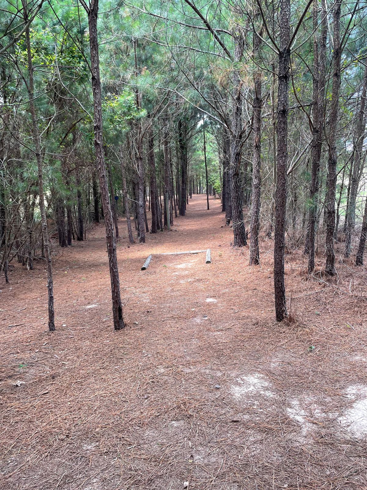 Fairway 13