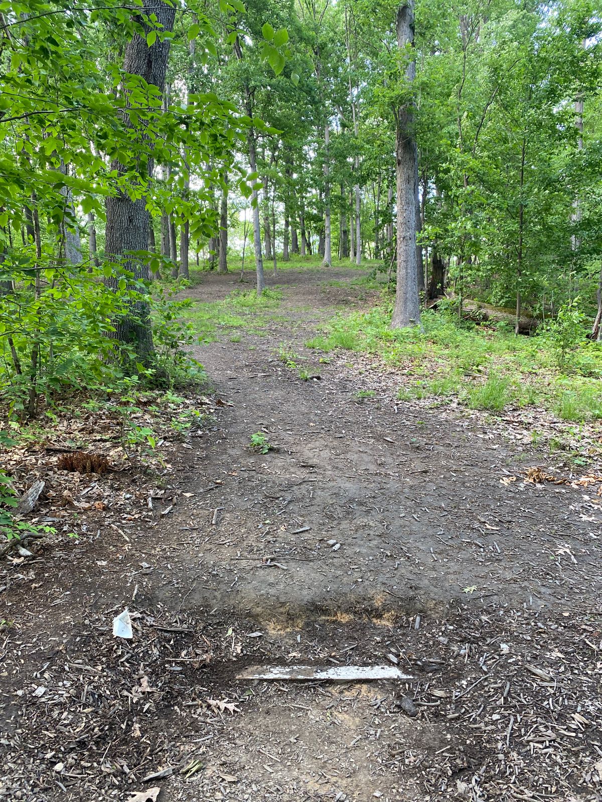 Hole 5 White tee