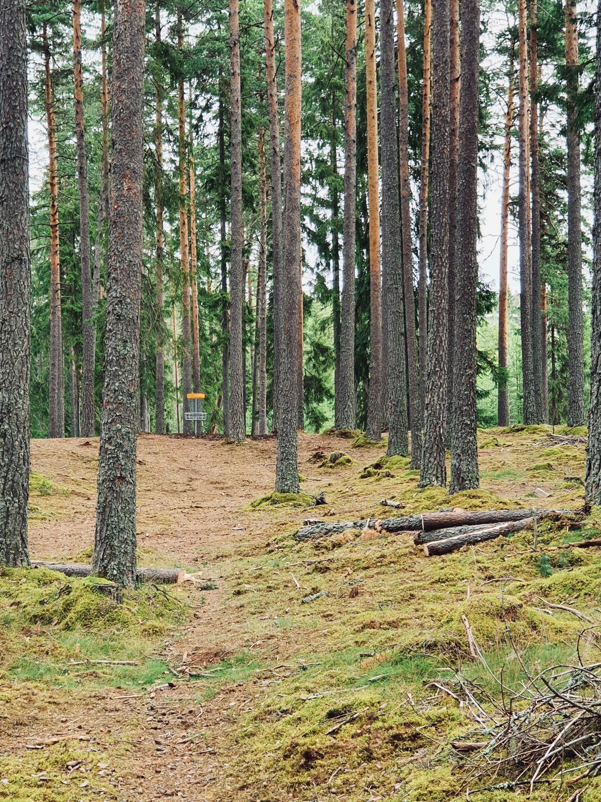 Hole 17