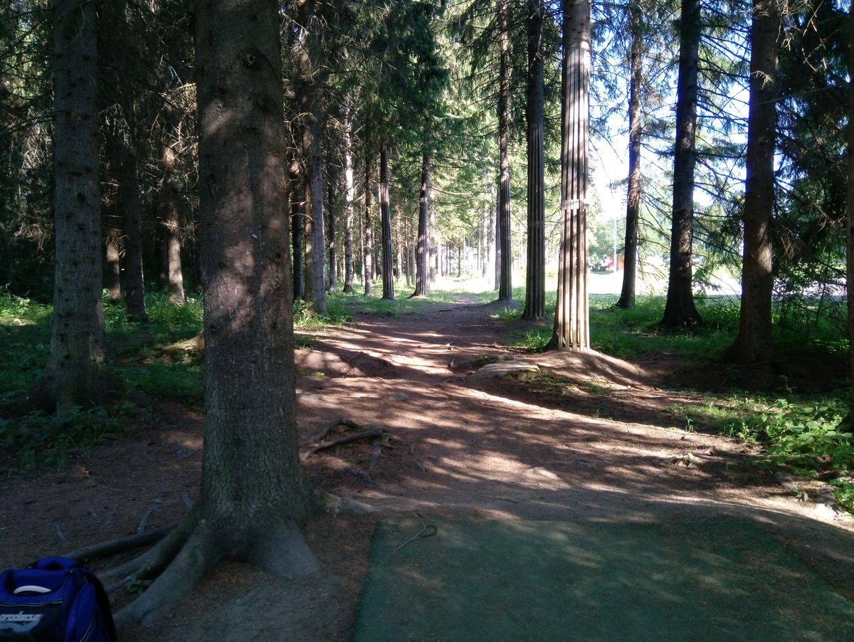 Hole #12 (4.7.2022).