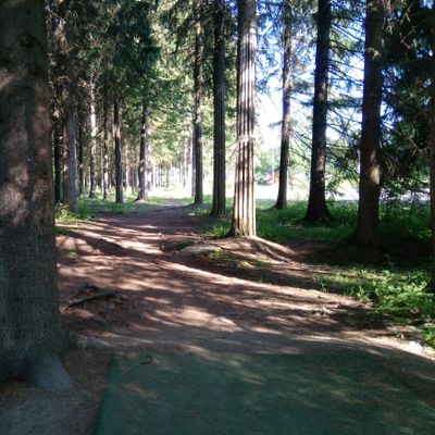 Hole #12 (4.7.2022).