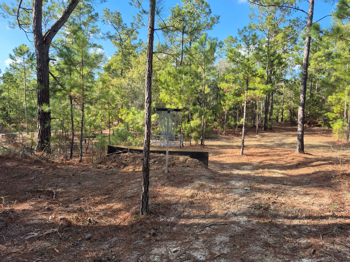 Hole 7 basket