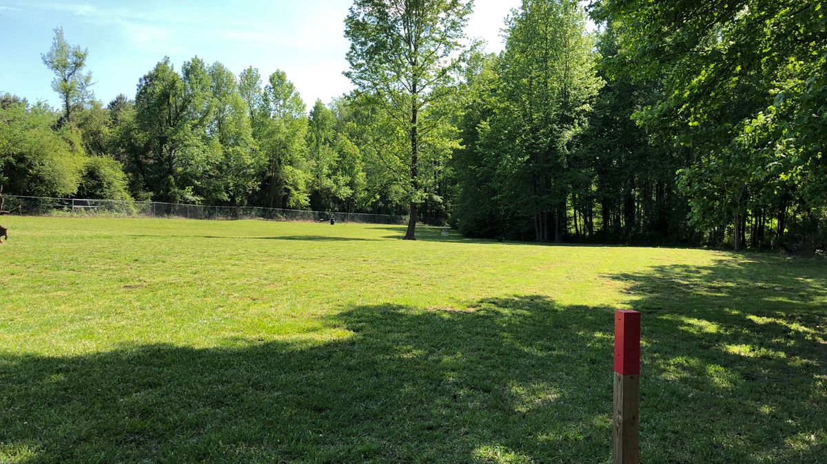 Hole 4