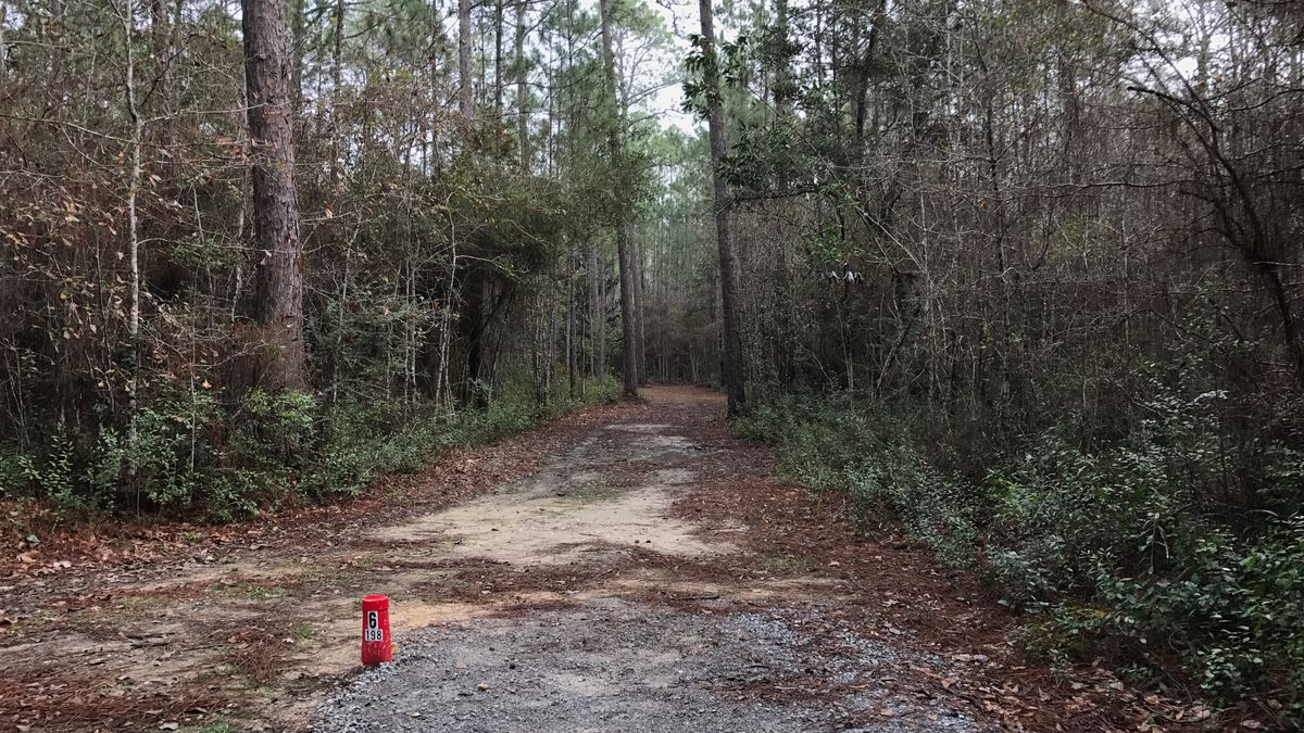 Hole 6