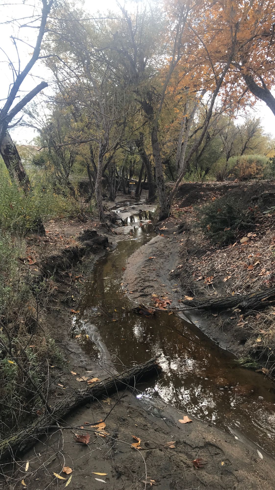 Hole 9 after rain all night