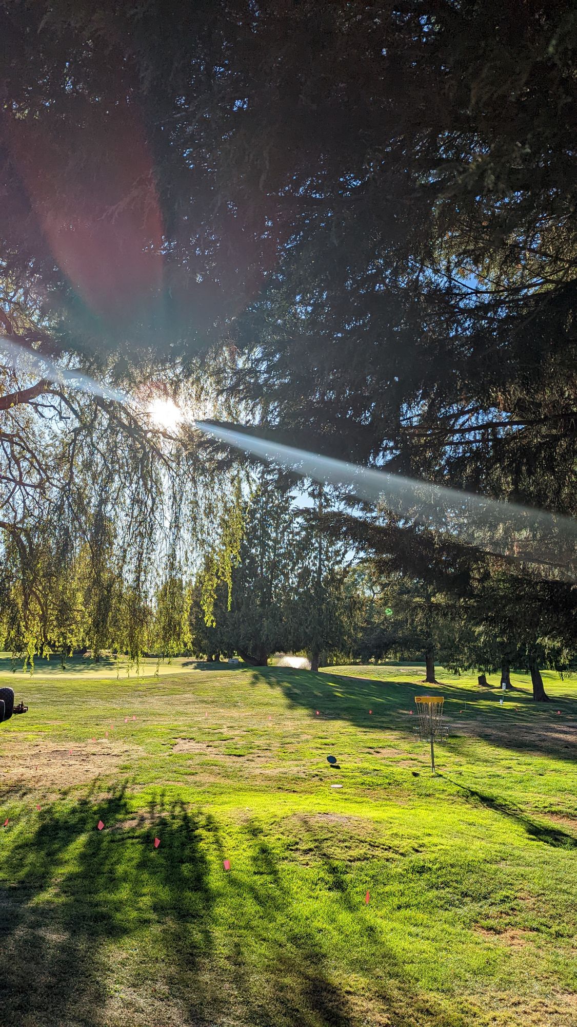 Hole 8