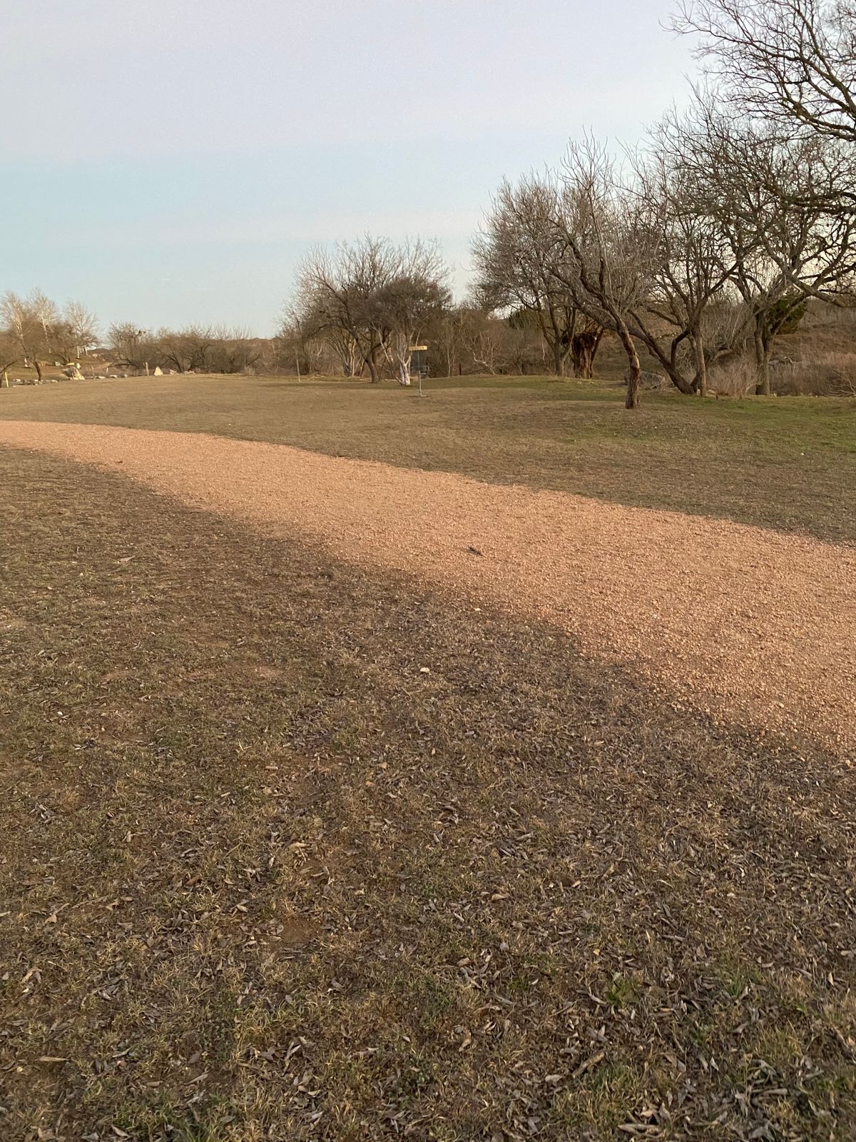 80 ft. from basket on hole 9.