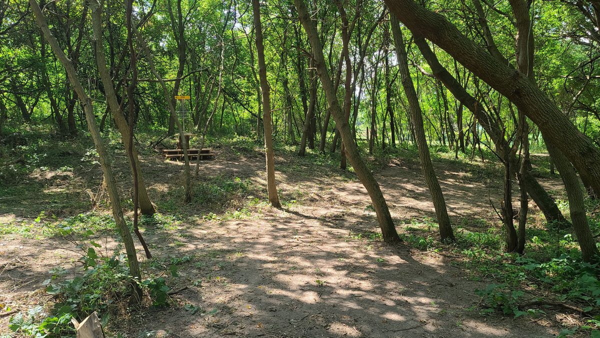Hole 6