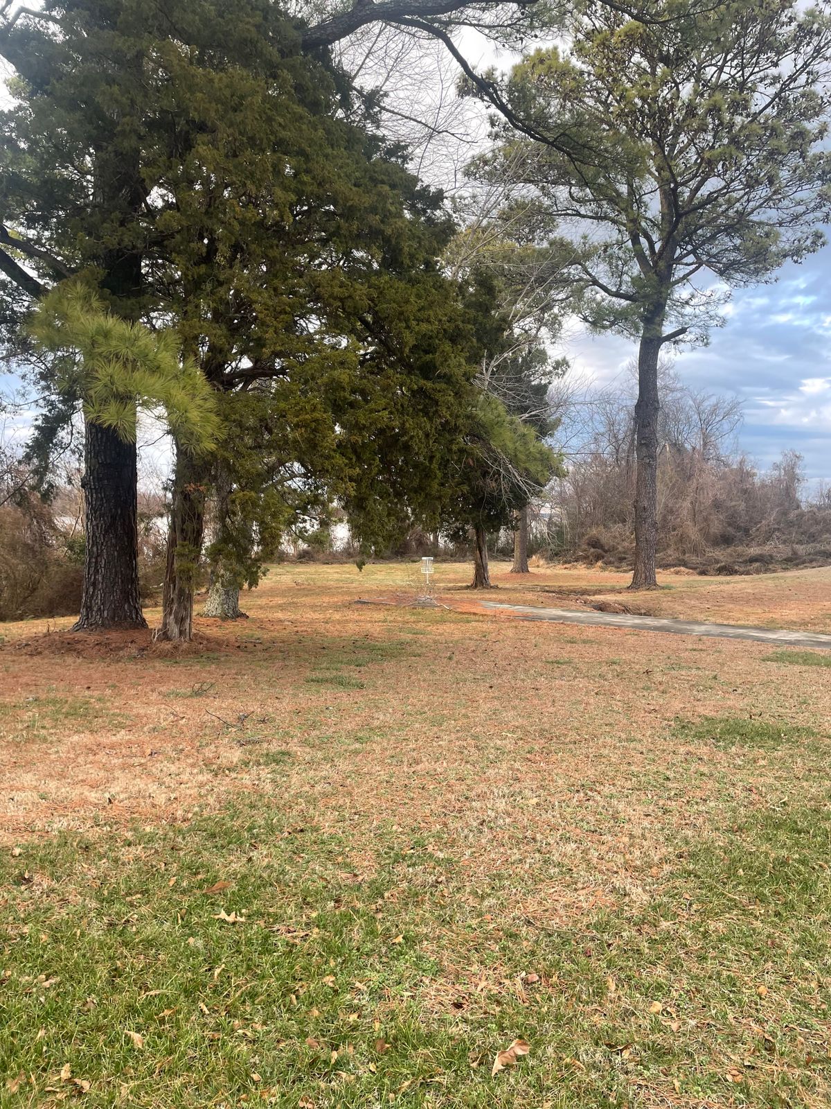 Hole 8 basket
