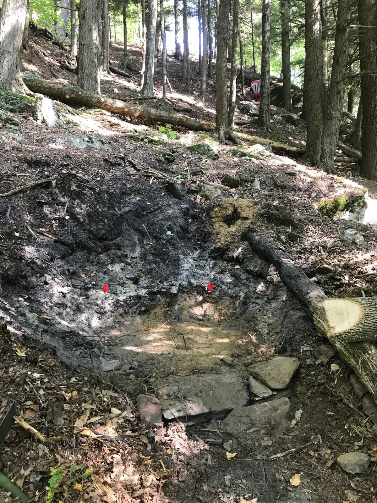 Hole 10, short tees