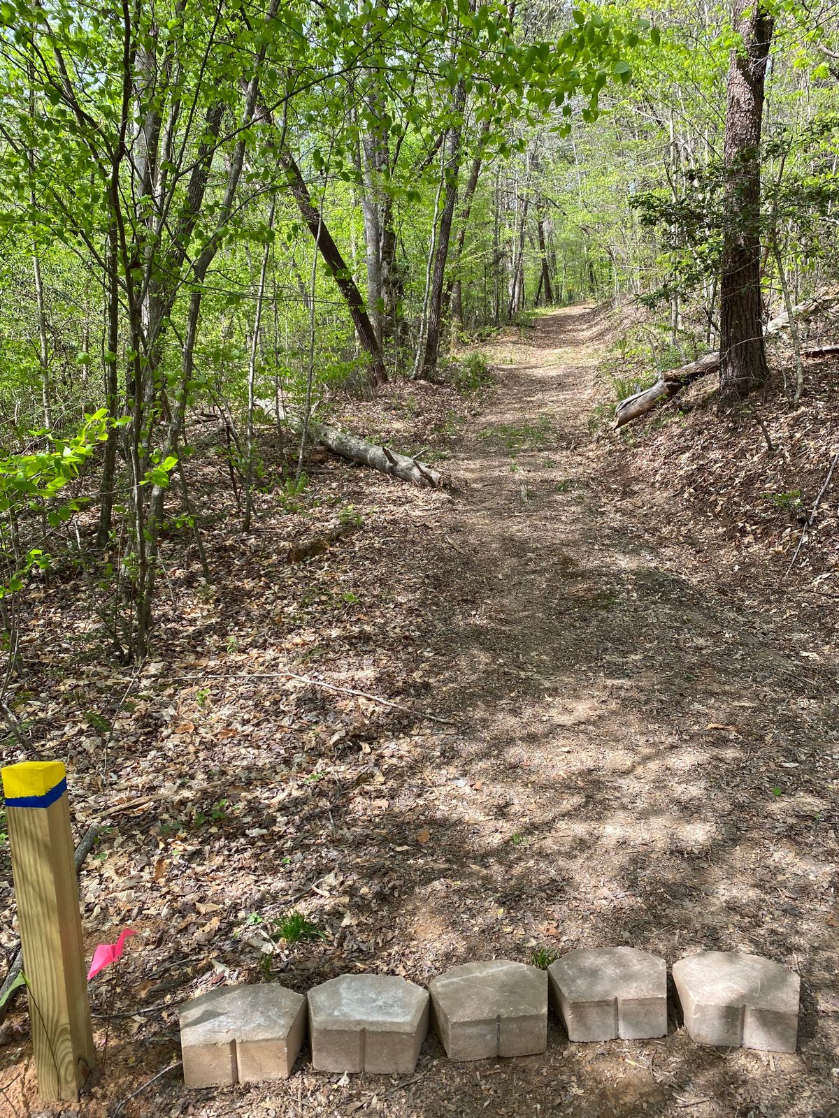 Hole 10.  Straight uphill.