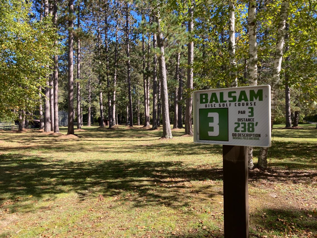 The Hole 3 tee leaves you several options to navigate under the tall trees.