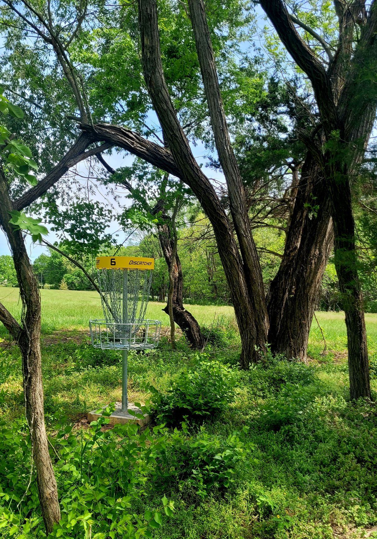 Hole 6 Basket