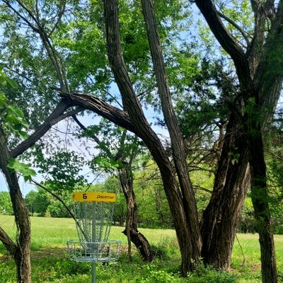 Hole 6 Basket