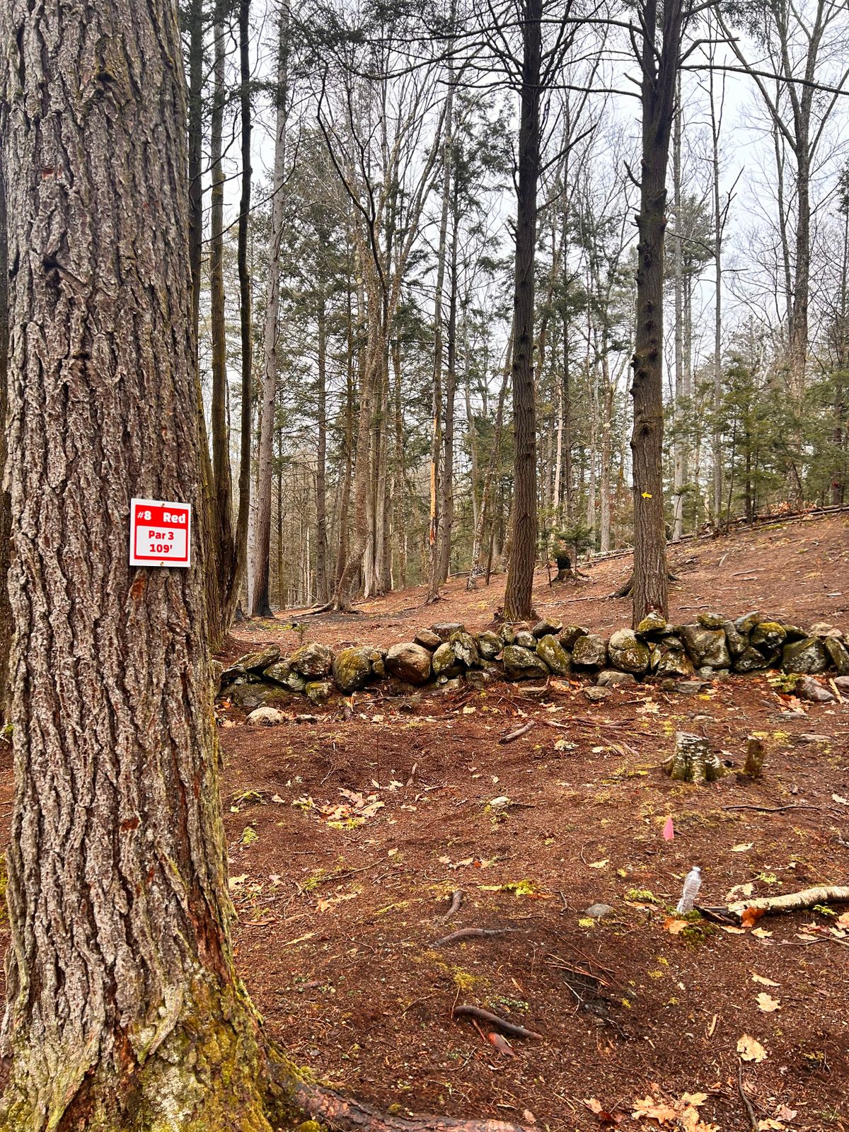 Hole 8 - Red Tee’s New Signs