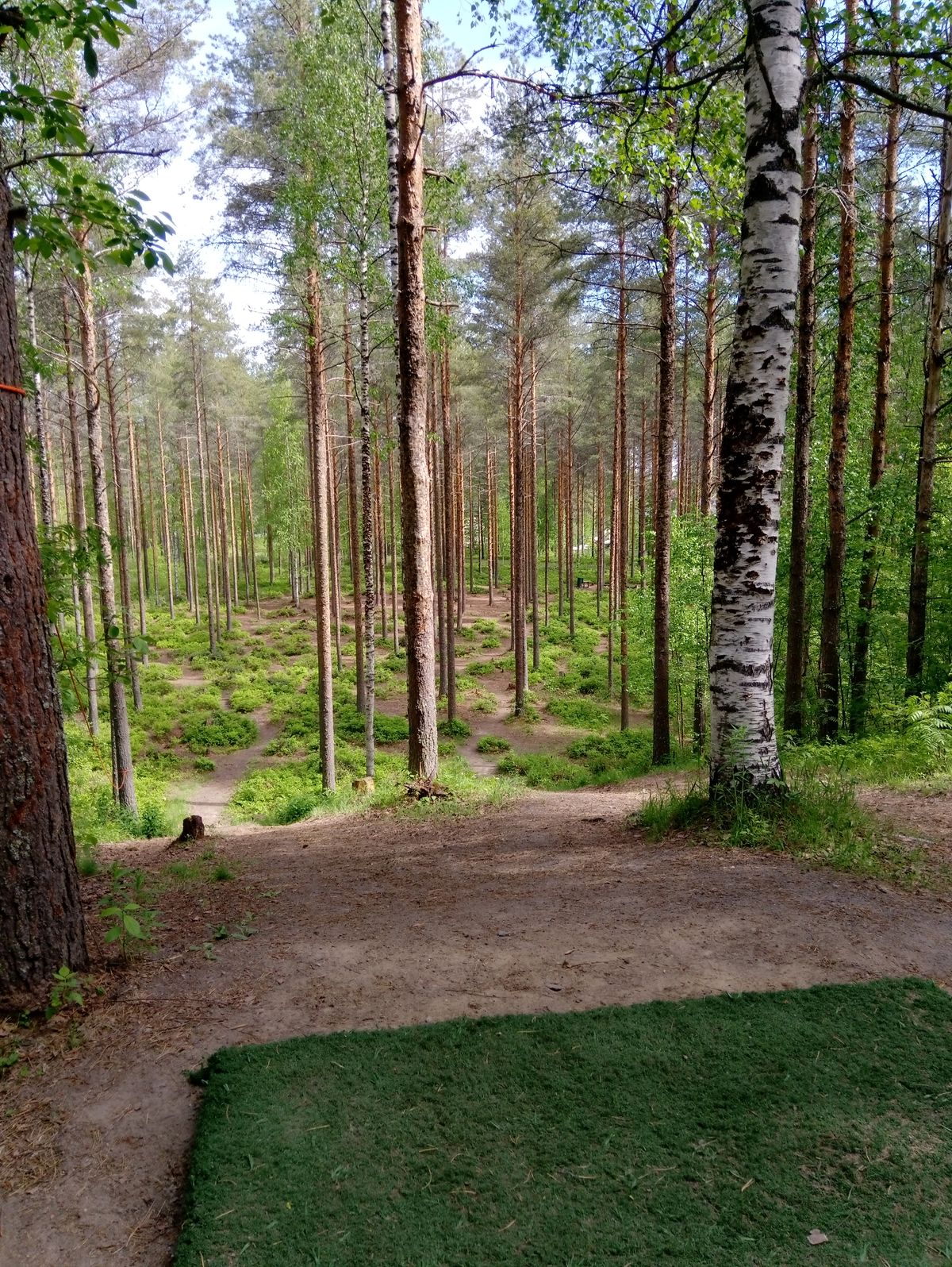Hole #17 (8.6.2022).