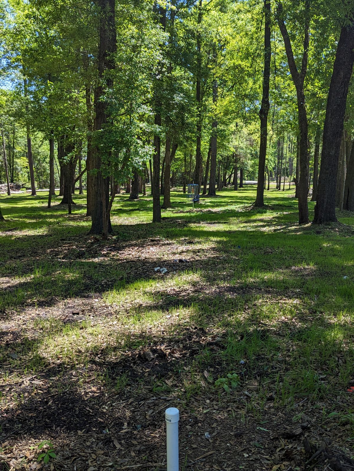 Hole 12 A and B Pin Locations