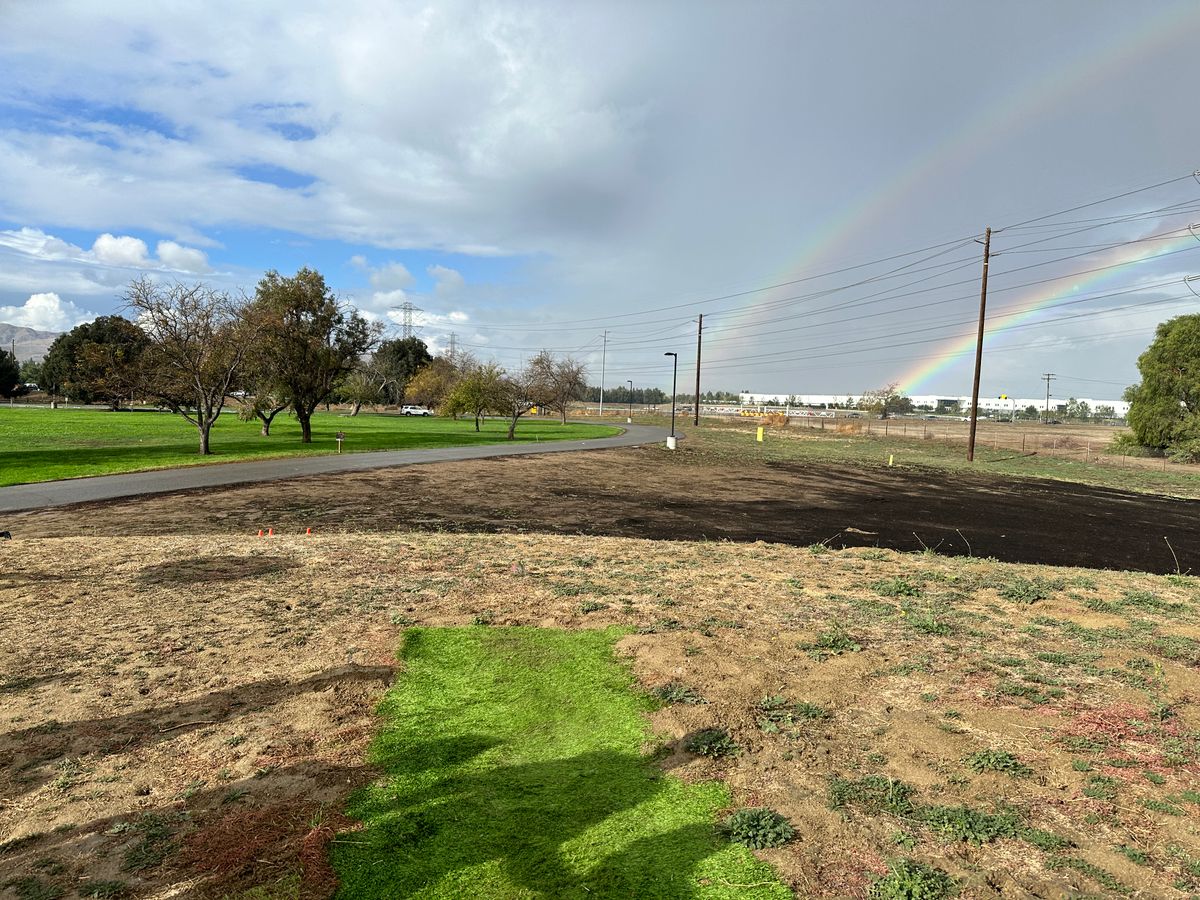 Hole 10 Alternate Tee