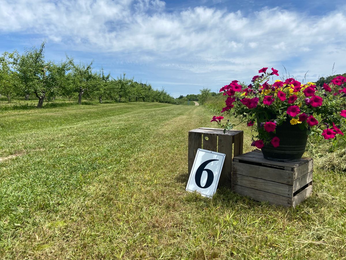 Hole 6