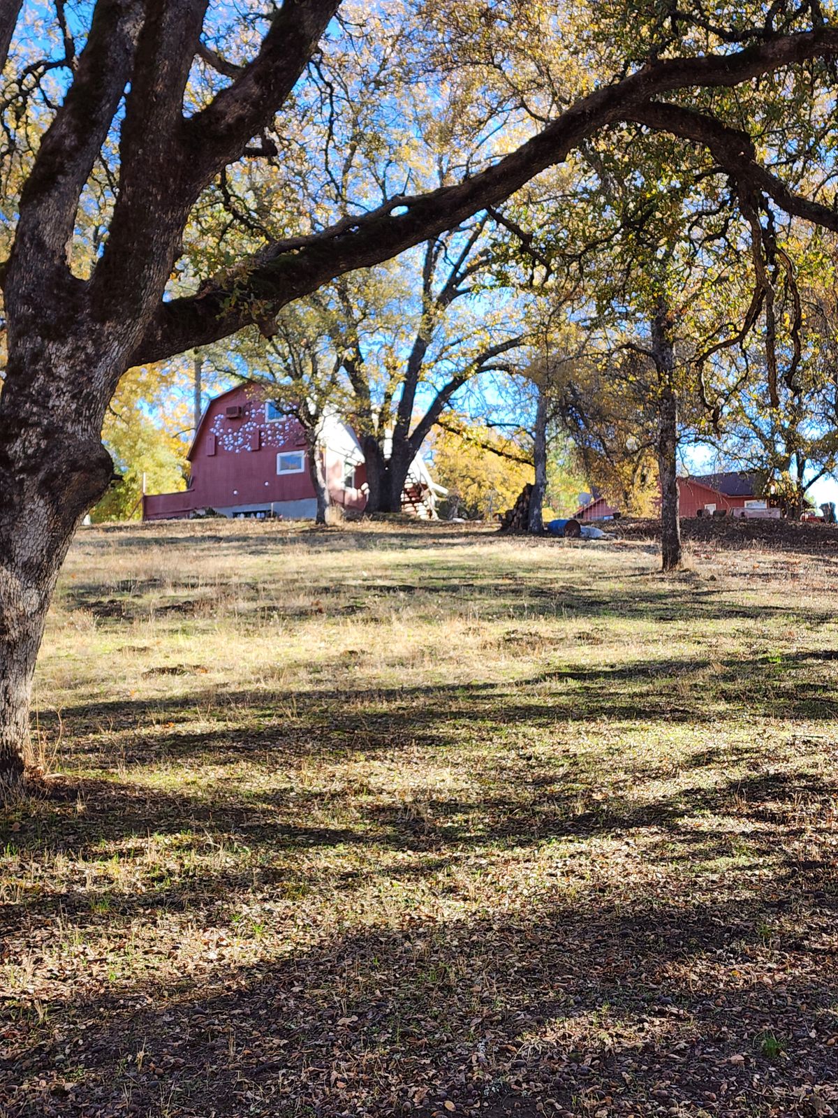 Hole 4 Fairway