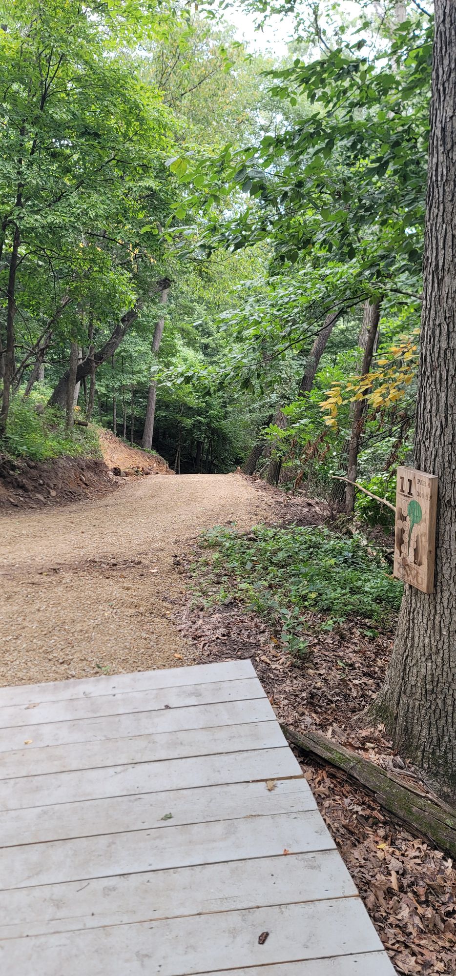 Hole 11