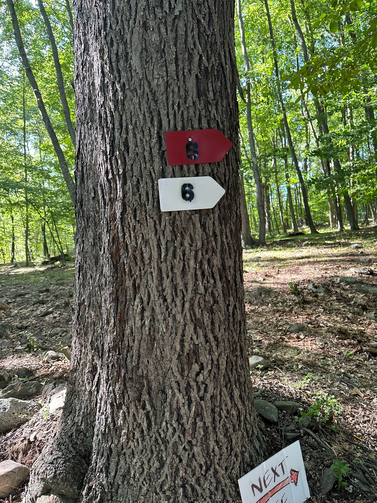 Hole 6's Pathing Signage