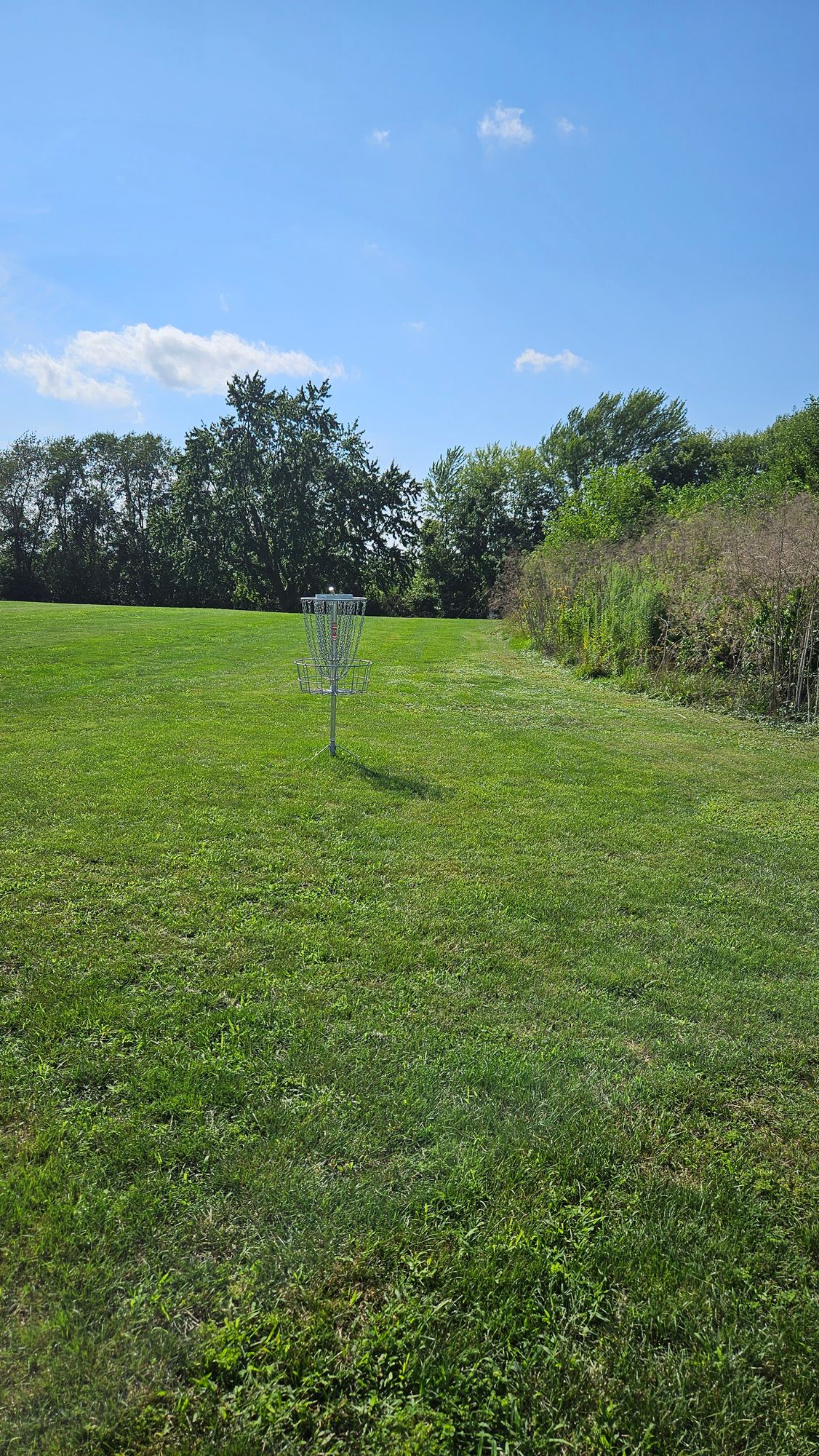 Hole 7 Baksket