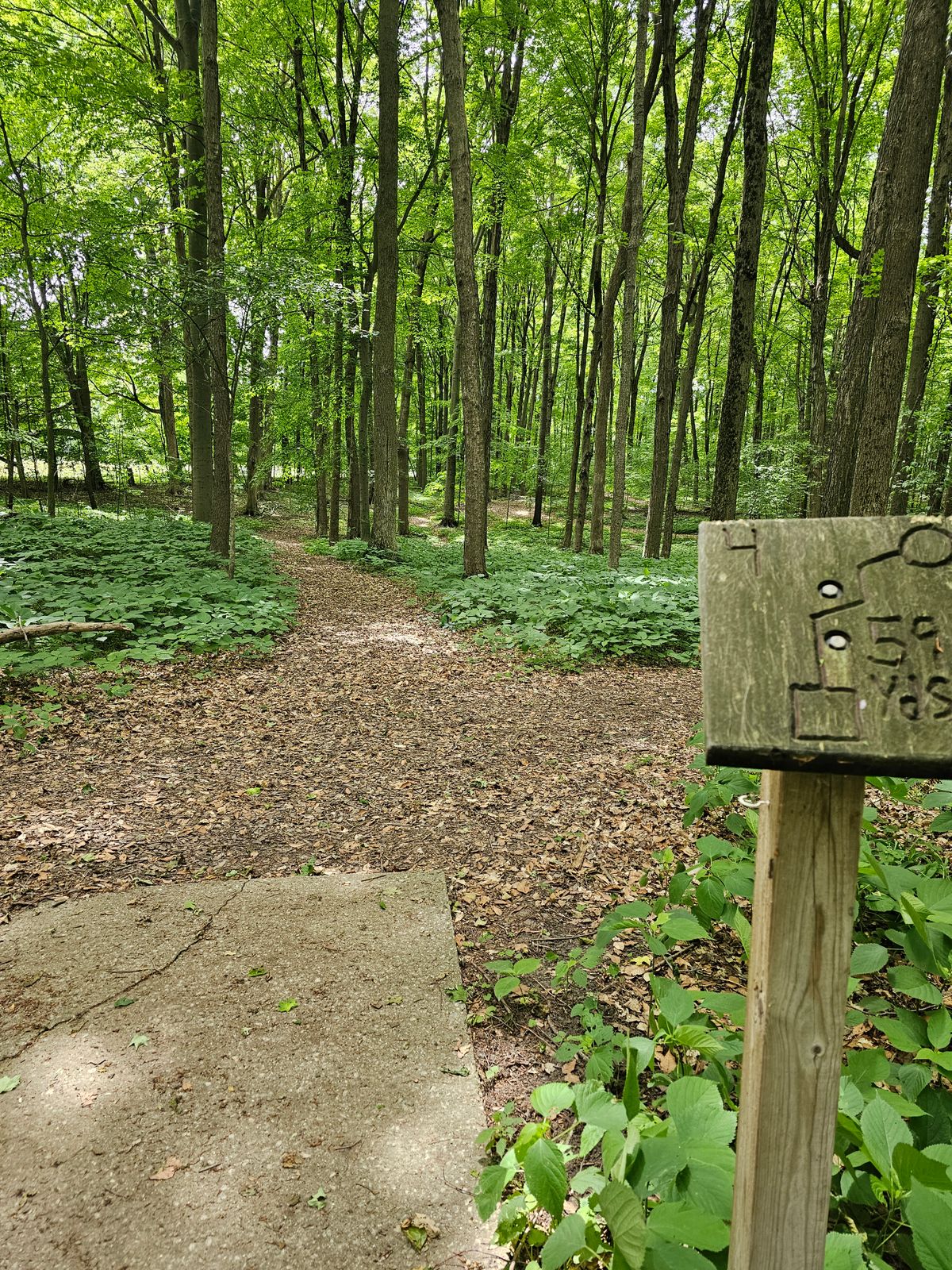 Hole 4