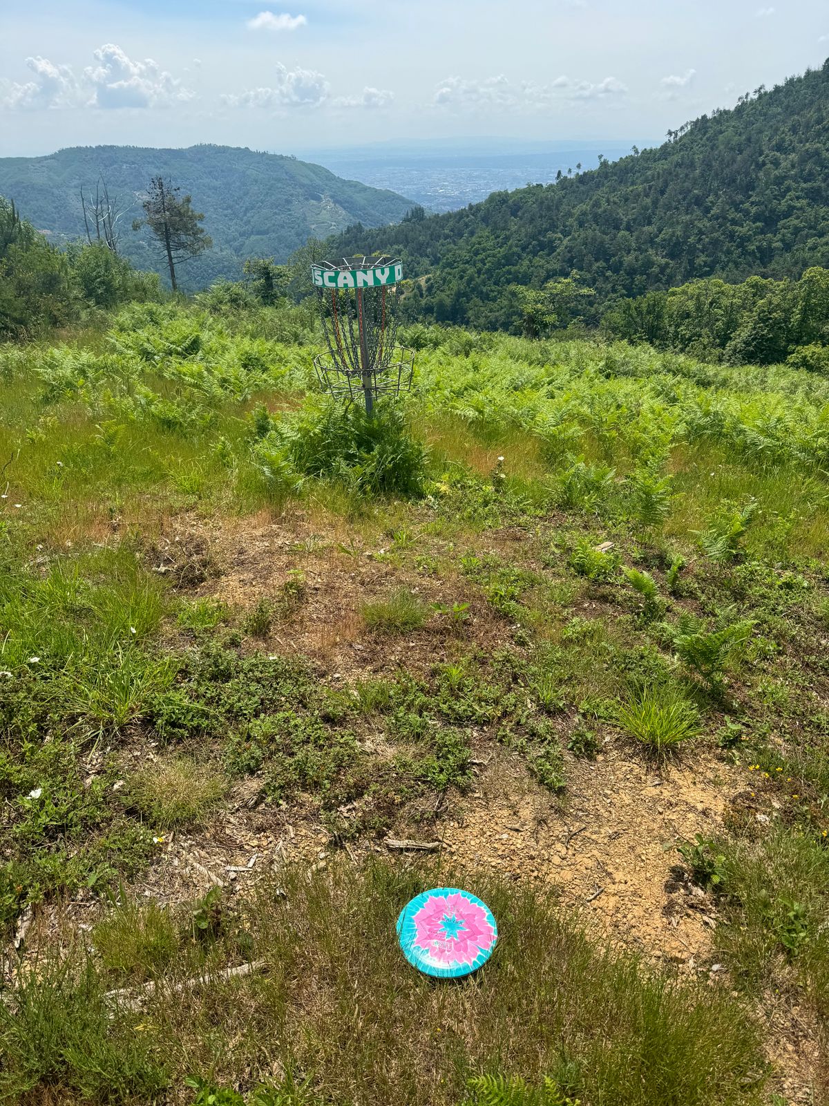 Amazing views.