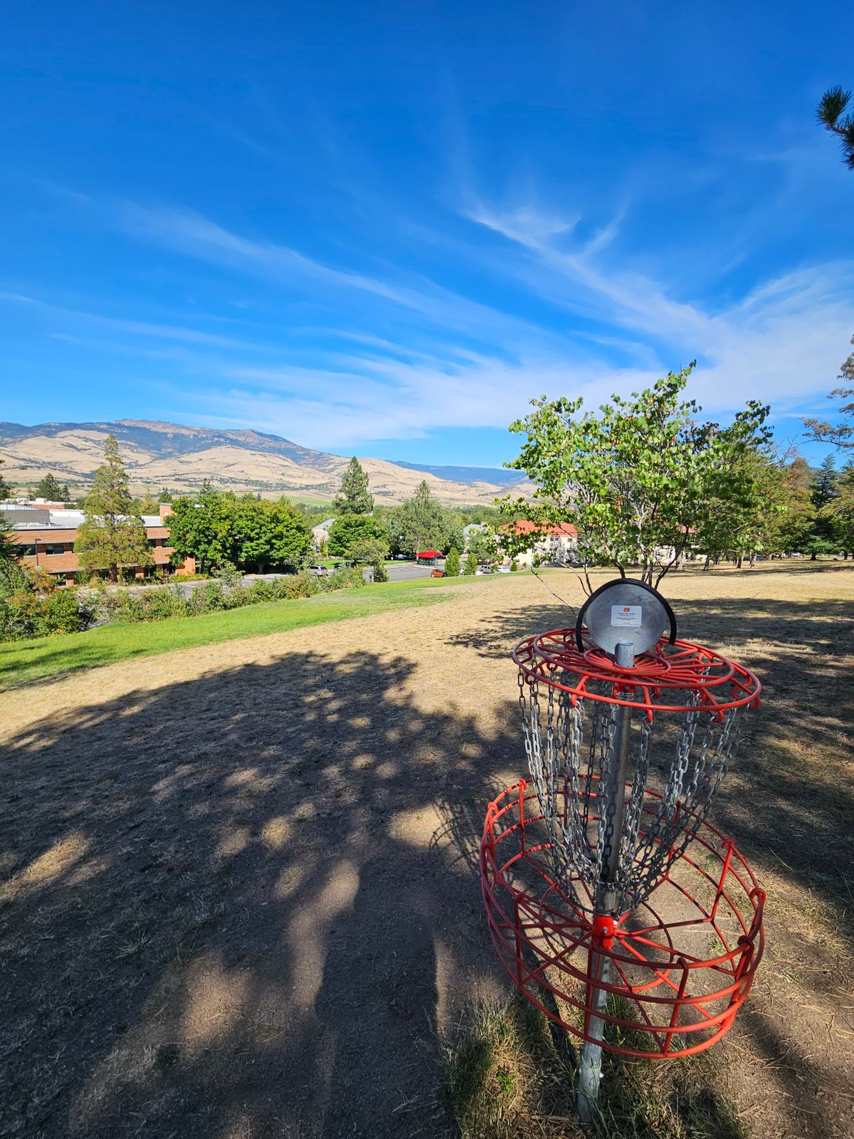 Basket 6 