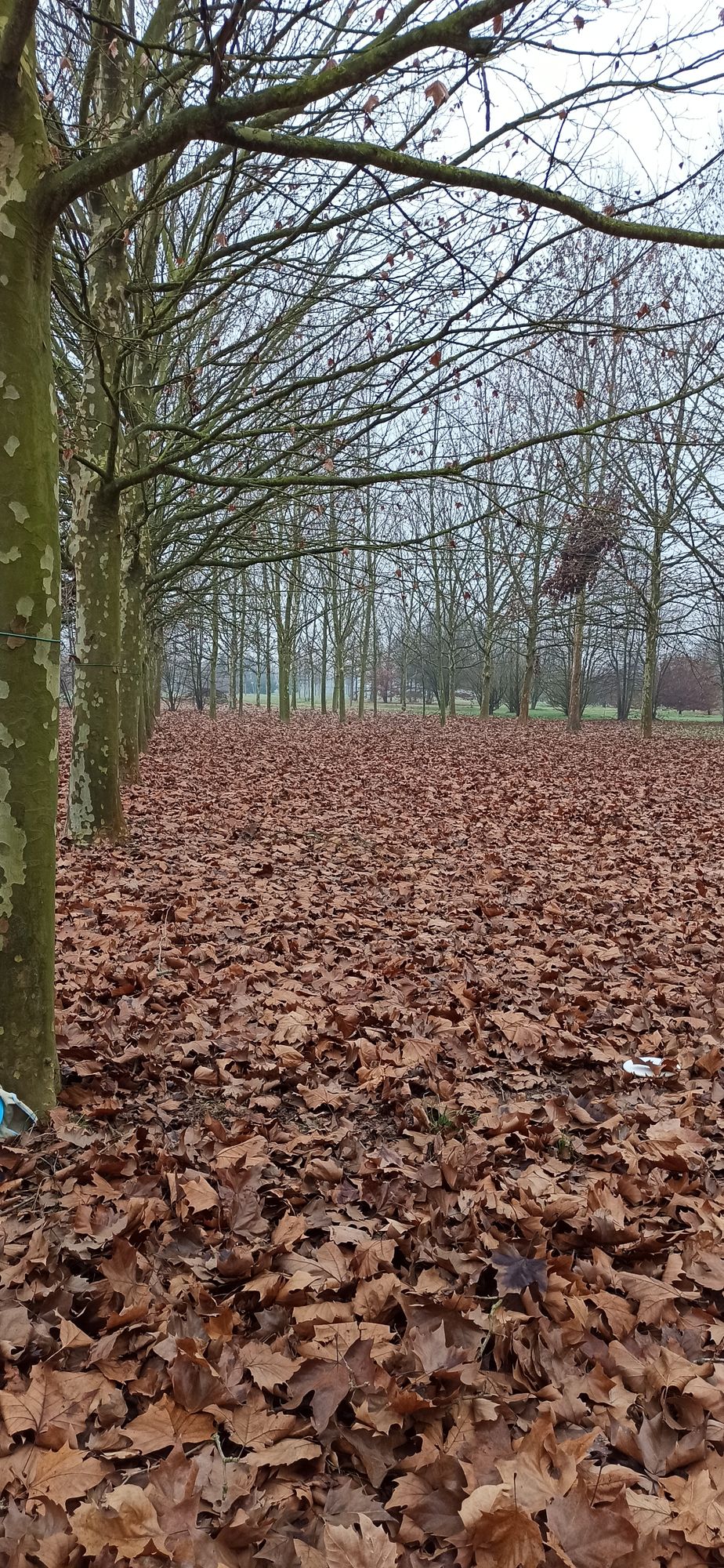Hole 4 tee spot