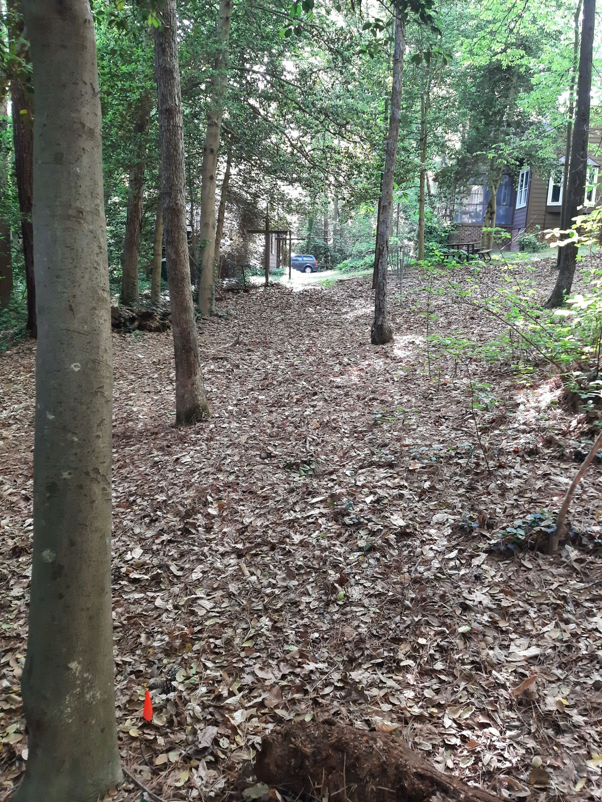Hole 7 Par 3 Layout Tee