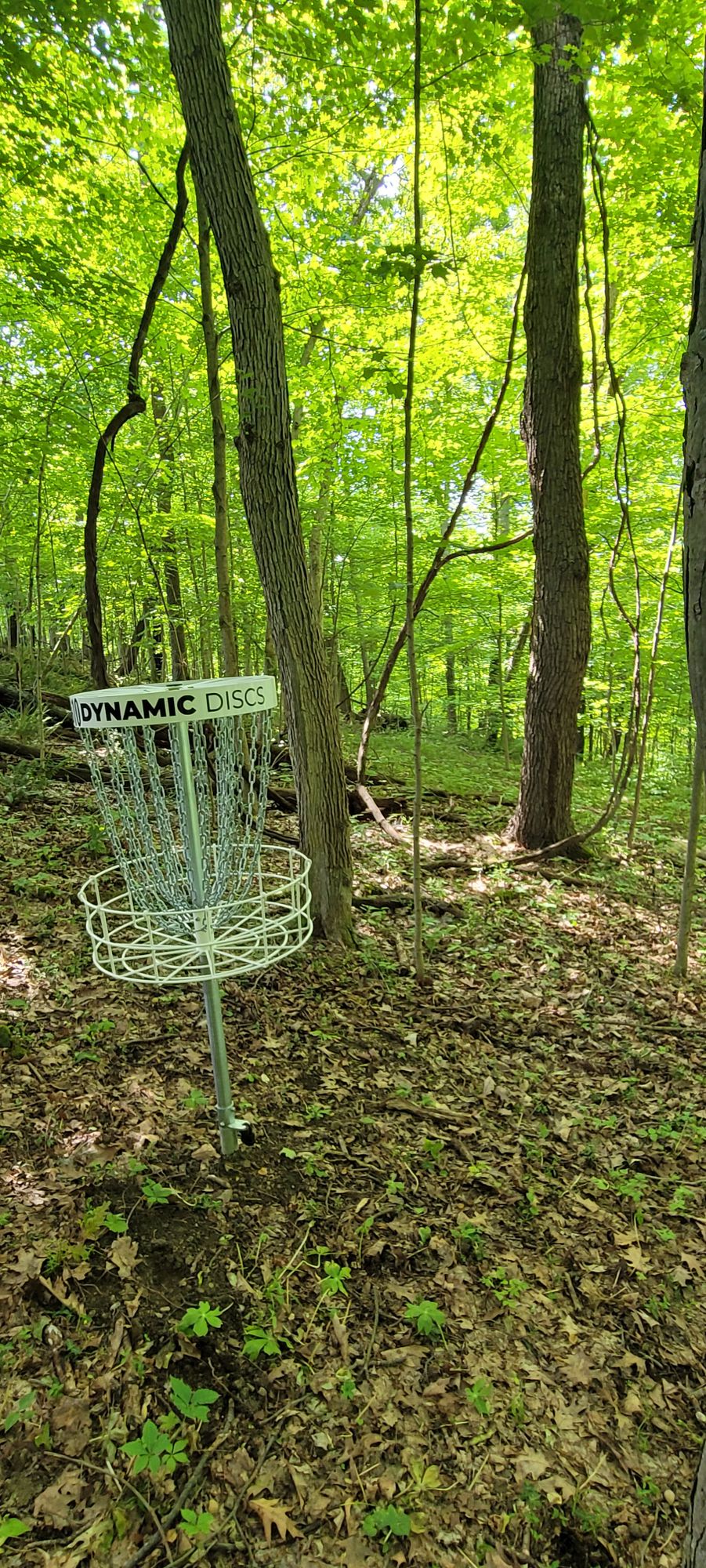 10 basket, reverse down fairway
