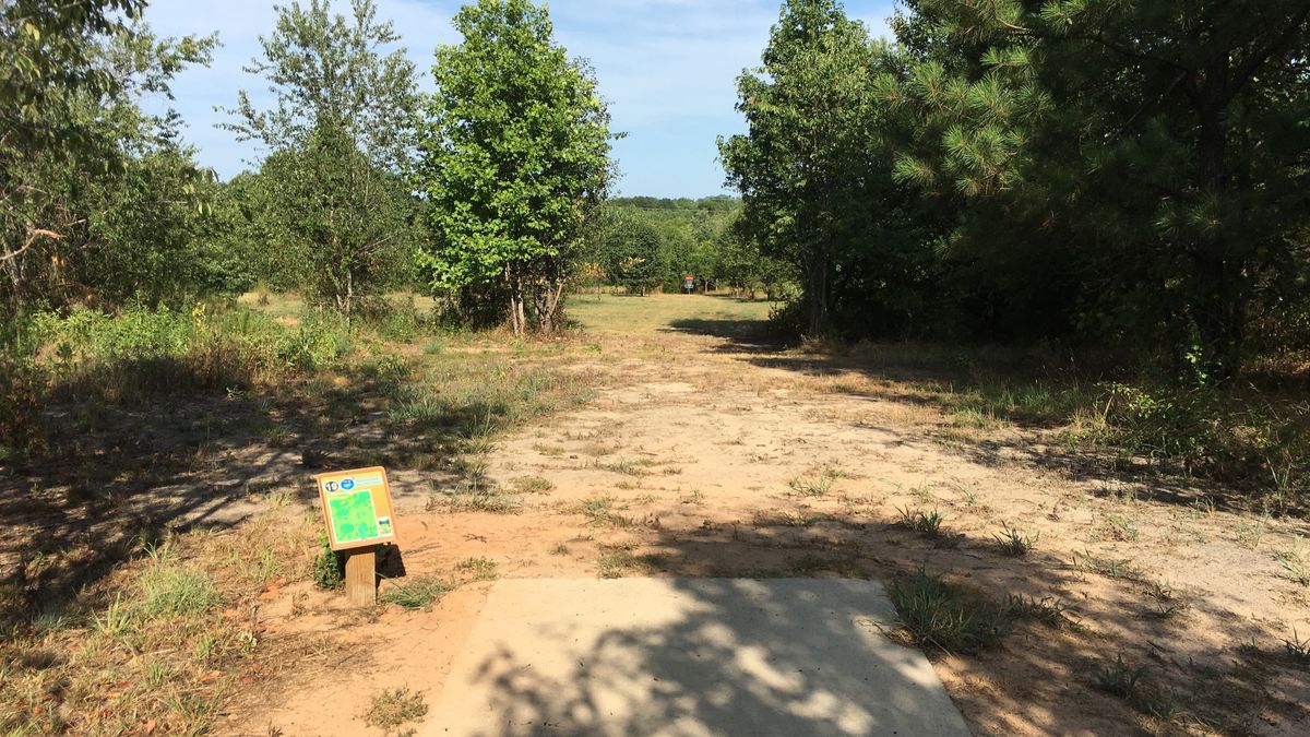 Hole 19
