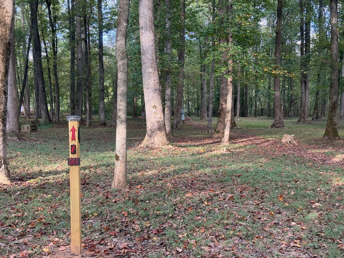 Hole 4