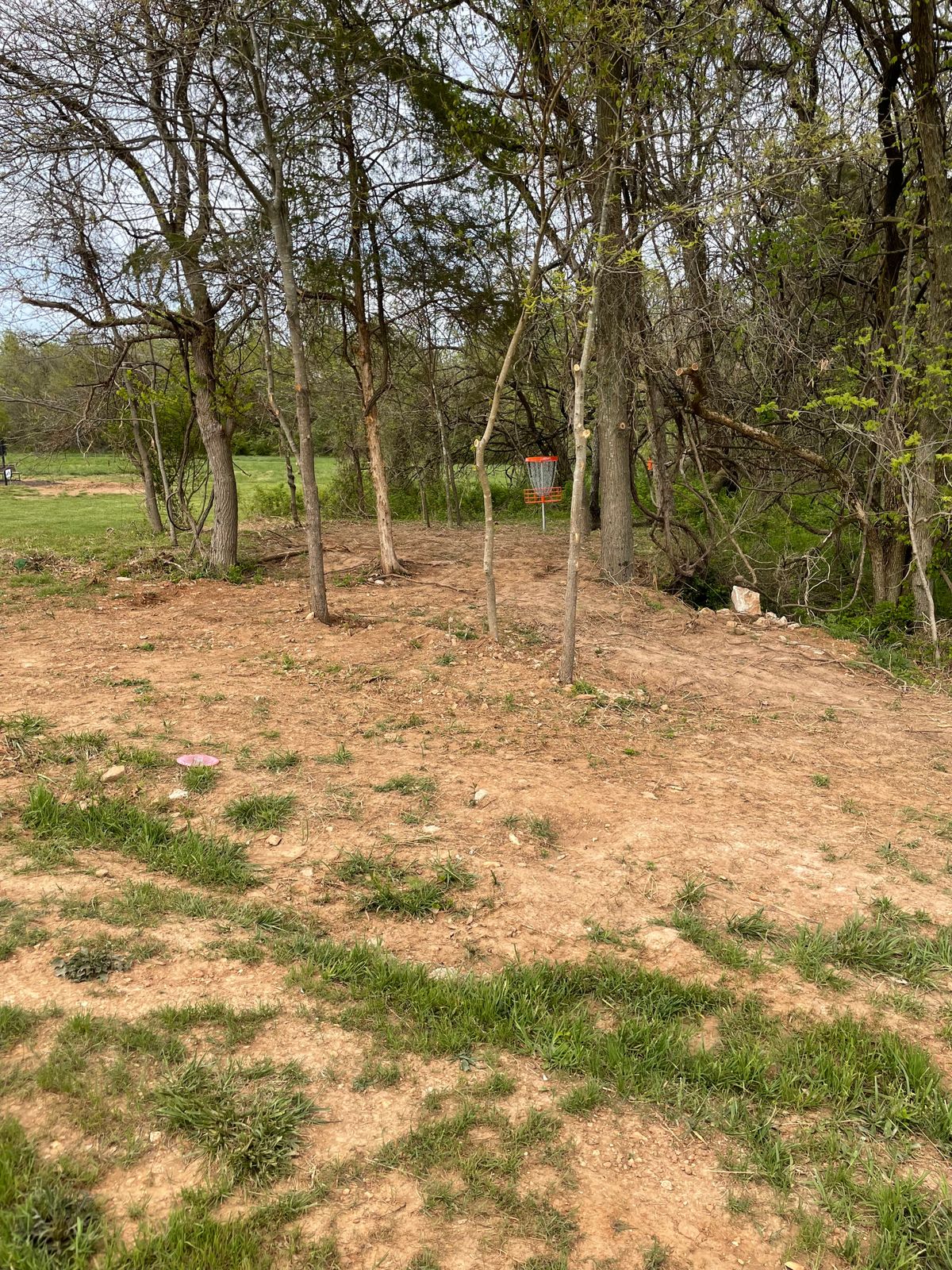 Hole 9 basket.