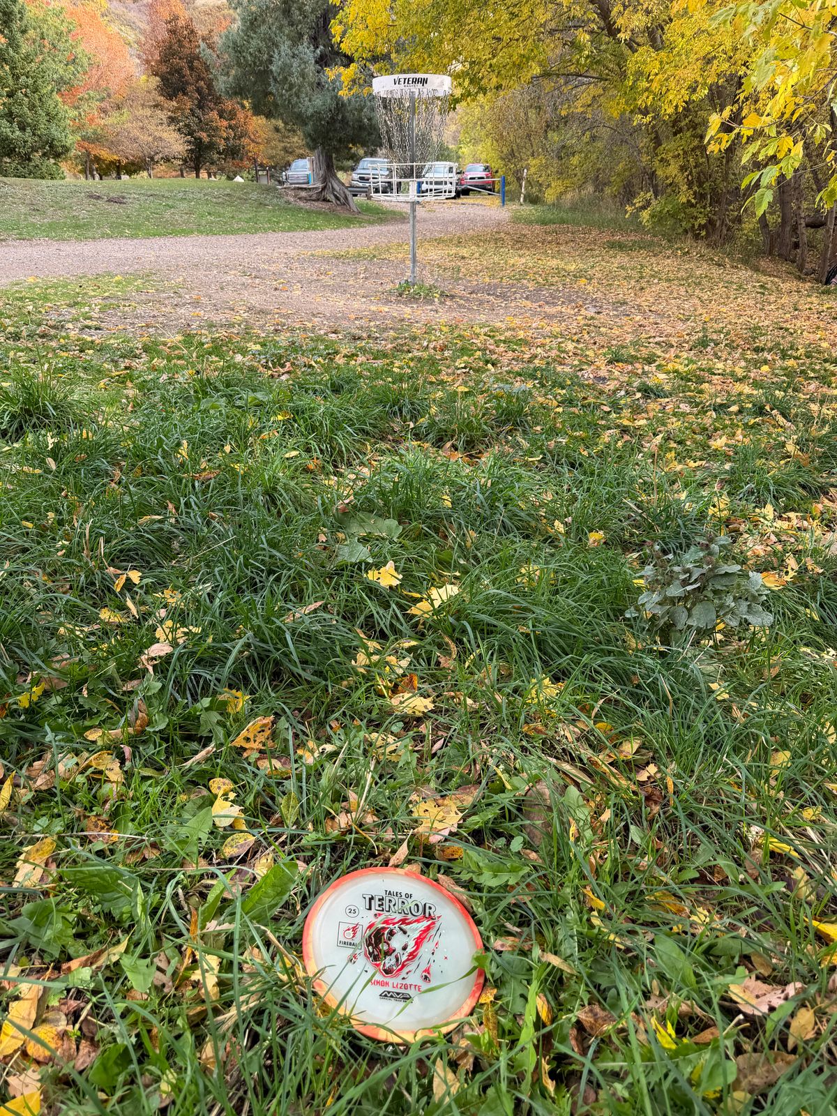 Birdie look on hole 14. Try the local big hyzer line around the trees.