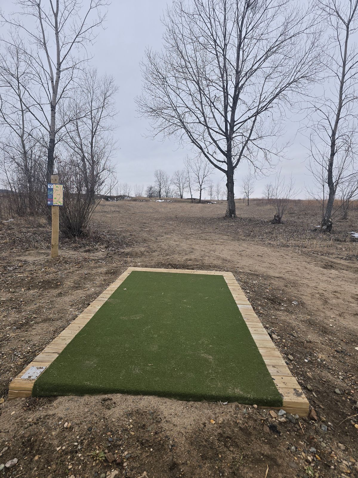 Not a fan of the carpet. Who is going to vacuum it