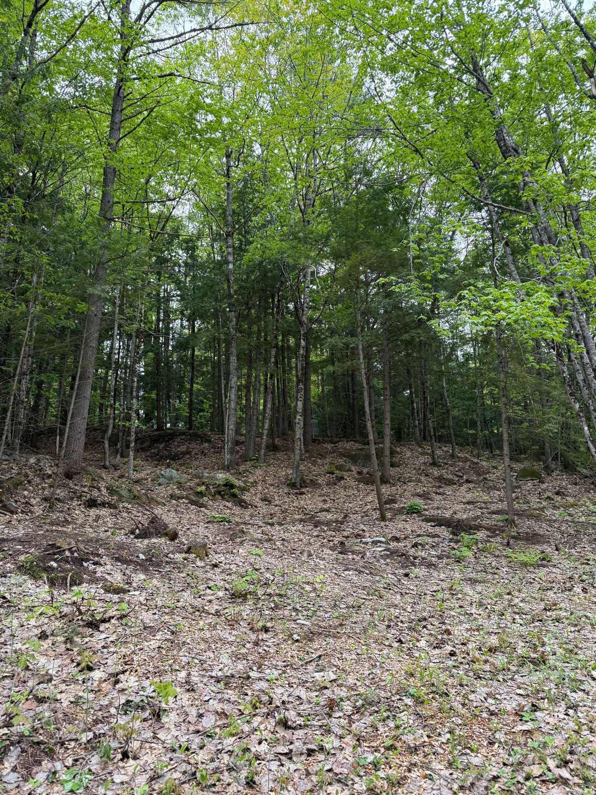 Approach to Hole 2