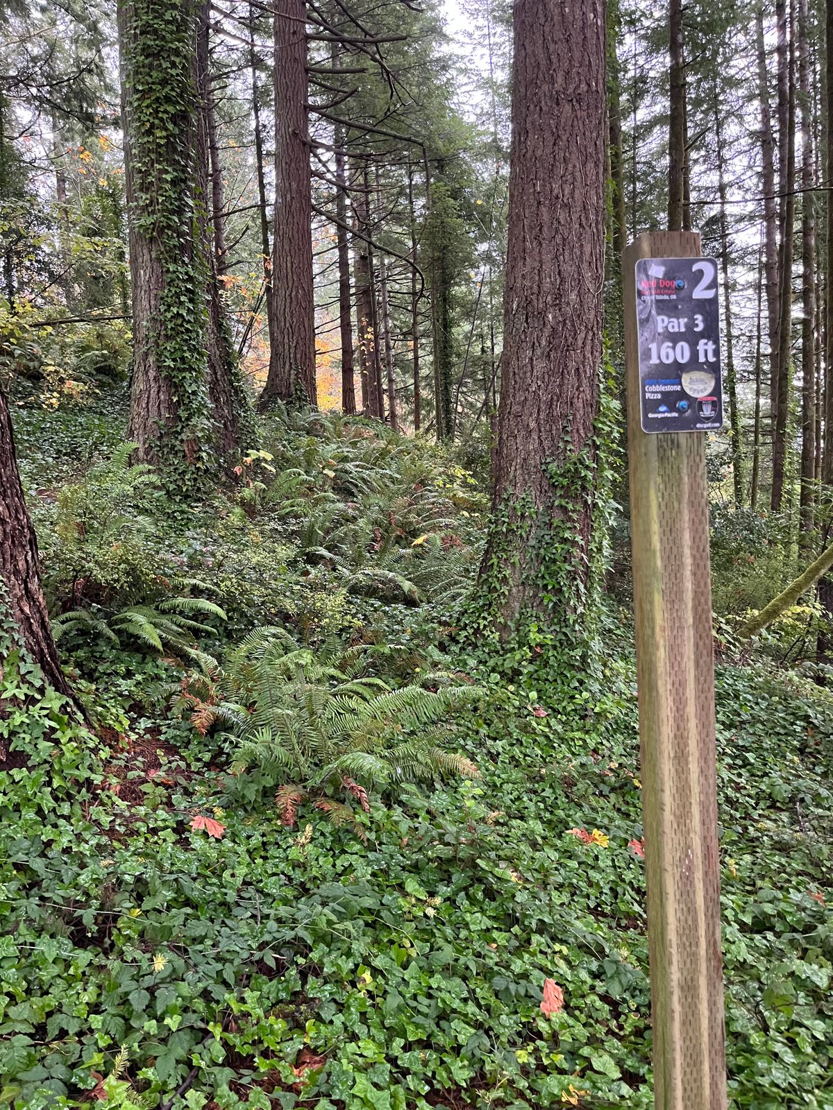 Hole #2